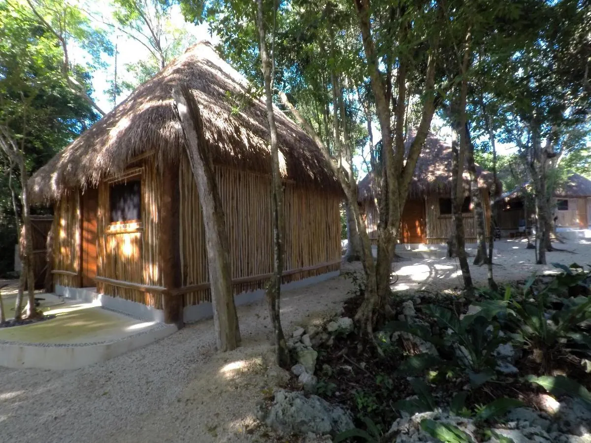 Tulum Nueve Hotel Campsite