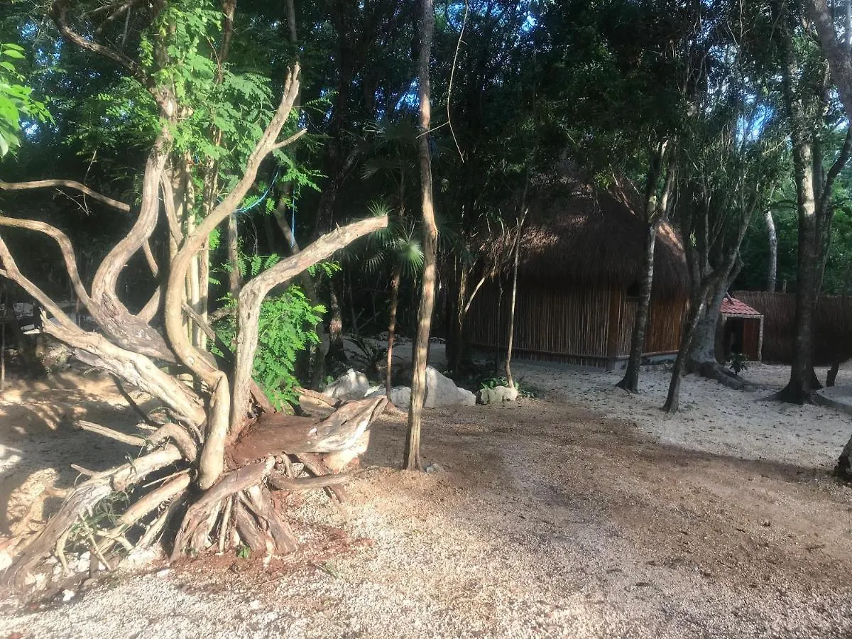 Campsite Tulum Nueve Hotel